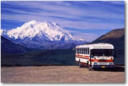 Denali Backcountry Adventure